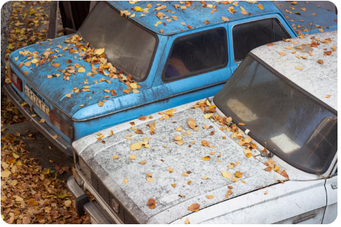 Wohnmobil